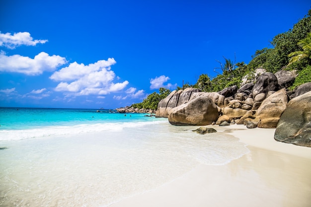 Strand umgeben von Meer und Grün unter dem Sonnenlicht und einem blauen Himmel in Praslin auf den Seychellen