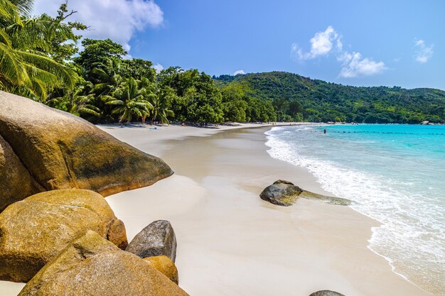 Strand umgeben von Meer und Grün unter dem Sonnenlicht und einem blauen Himmel in Praslin auf den Seychellen