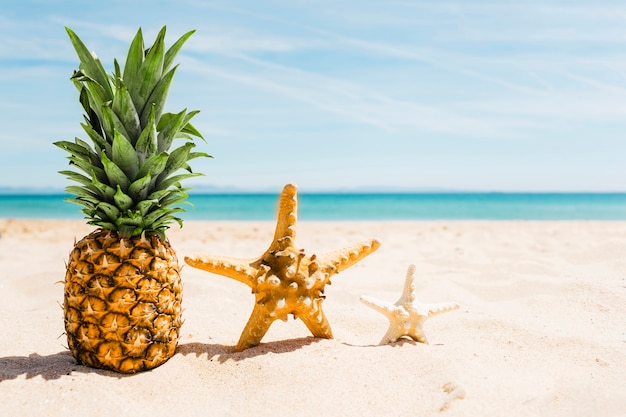 Kostenloses Foto strandhintergrund mit ananas und starfish