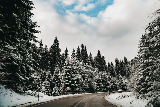 Straße, die an einem trüben Tag durch einen verschneiten Wald führt