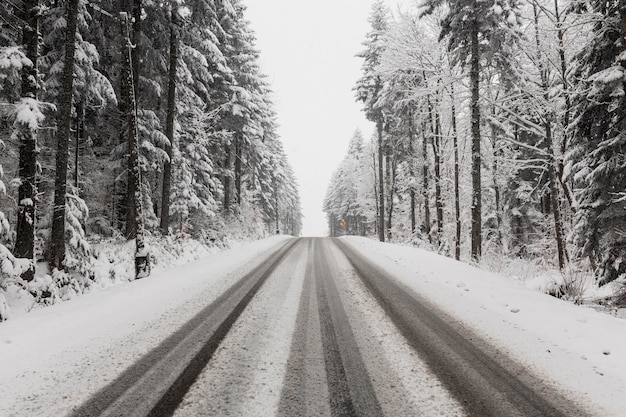 Straße durch Winterwald