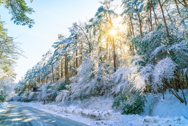 Straße im Winter, Japan