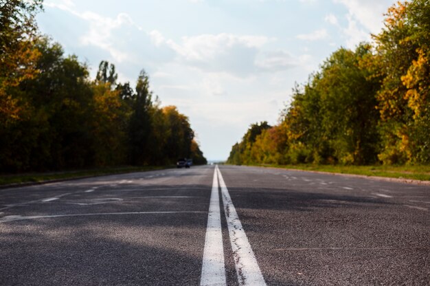 Straße mitten in der Natur