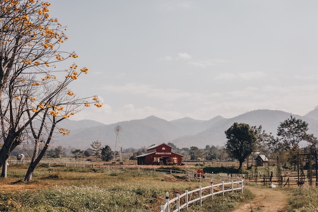 Straße Thailand, Natur