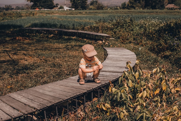 Kostenloses Foto straße thailand, natur