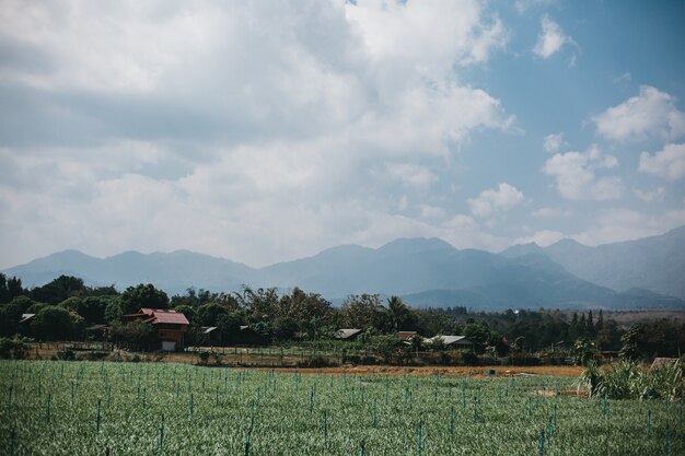 Straße Thailand, Natur