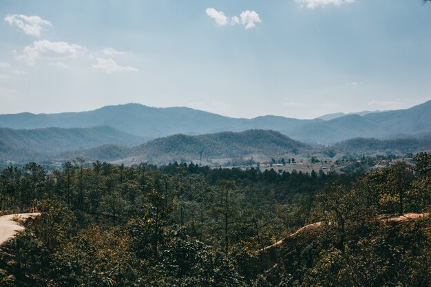 Straße Thailand, Natur