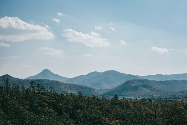 Straße Thailand, Natur