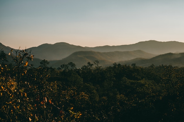 Straße Thailand, Natur