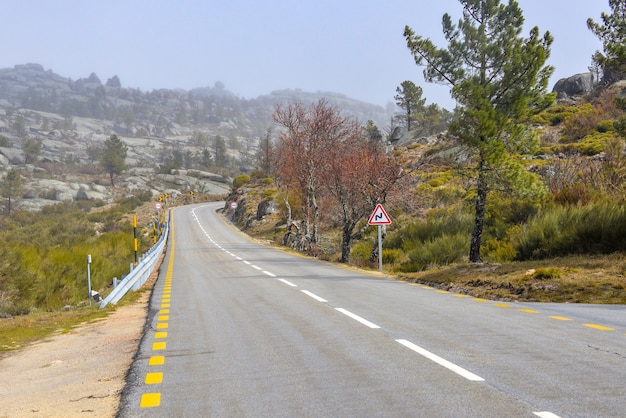 Straße, umgeben von Felsen und viel Grün, tagsüber im Nebel bedeckt