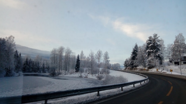 Straße umgeben von schneebedeckten Bäumen trees