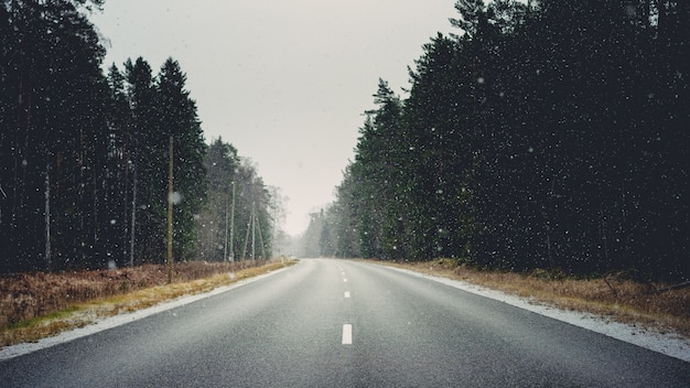 Straße umgeben von Wäldern und trockenem Gras, das im Winter mit Schneeflocken bedeckt ist