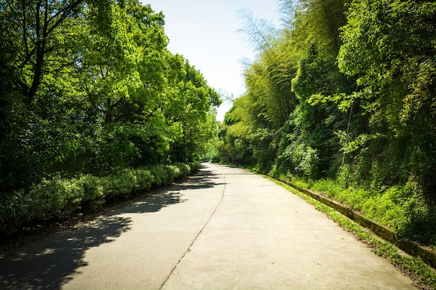 Kostenloses Foto straße