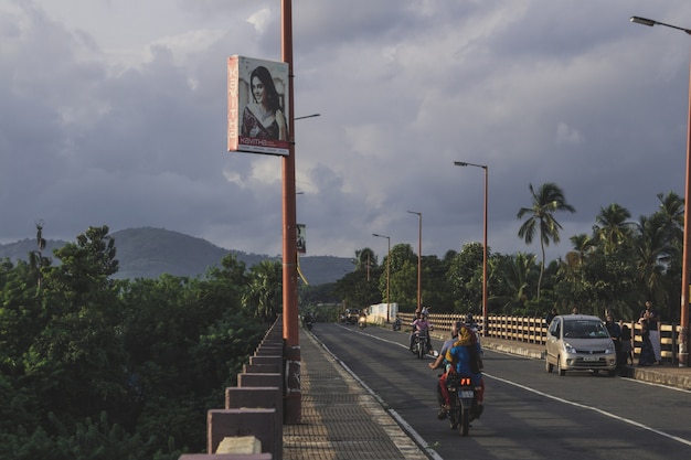 Kostenloses Foto straßenbrücke in grünes land voller palmen