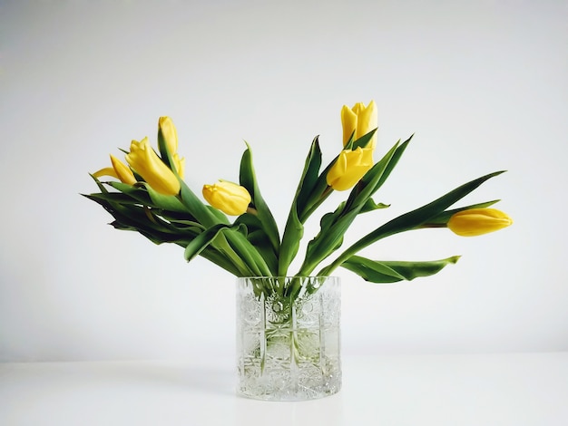 Strauß gelber Tulpen in einer Vase unter den Lichtern gegen ein Weiß