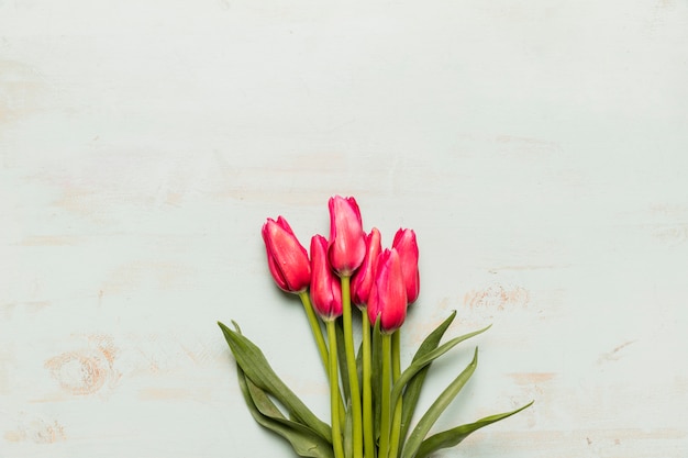 Kostenloses Foto strauß rosa tulpen