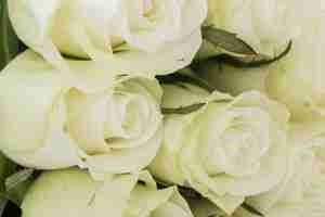 Kostenloses Foto strauß weißer rosen