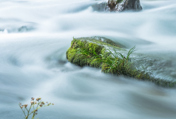 Kostenlose Foto stream fließen durch felsen