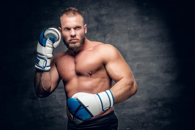 Studioporträt eines bärtigen aggressiven Boxers in Aktion auf grauem Hintergrund.