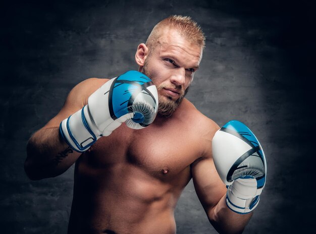 Studioporträt eines bärtigen aggressiven Boxers in Aktion auf grauem Hintergrund.