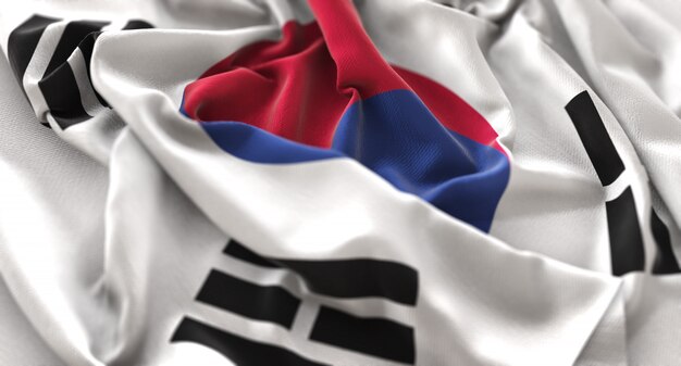 Südkorea-Flagge gekräuselt schön Winken Makro Nahaufnahme Schuss