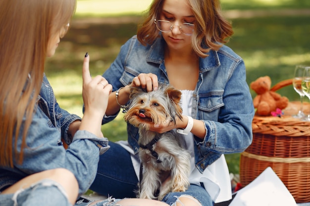 süße Mädchen in einem Park spielen mit kleinen Hund