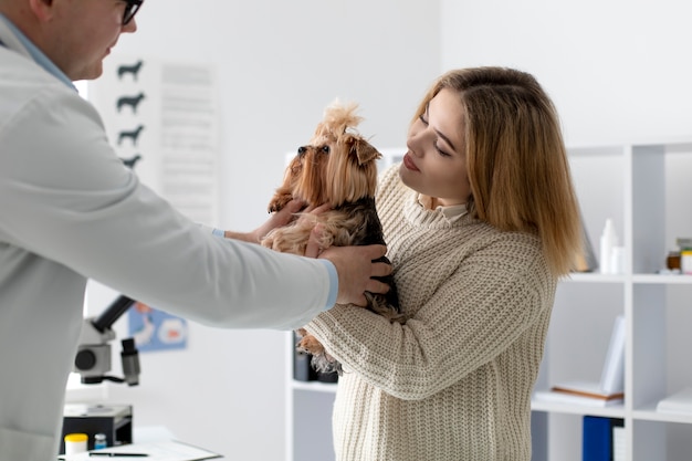 Süßer Hund während einer Beratung