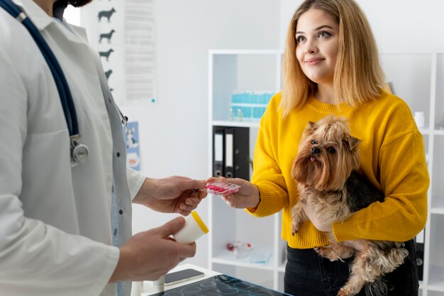 Süßer Hund während einer Beratung