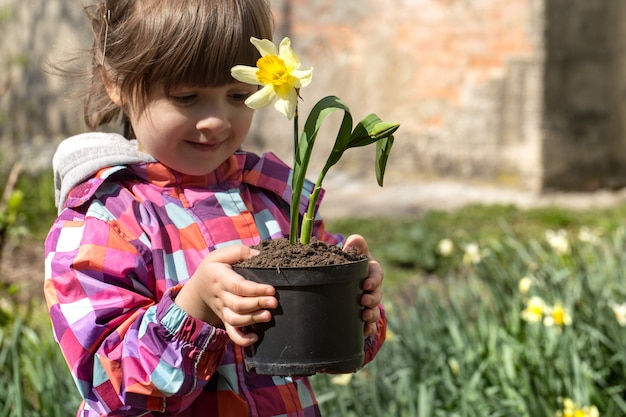 süßes kleines Mädchen im Garten mit farbigen Narzissen