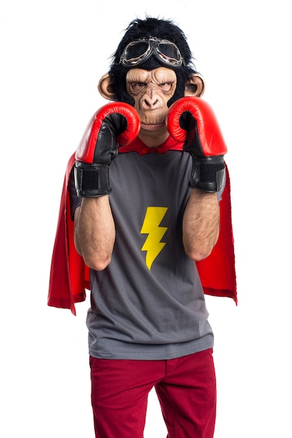 Superheld Affe Mann mit Boxhandschuhen