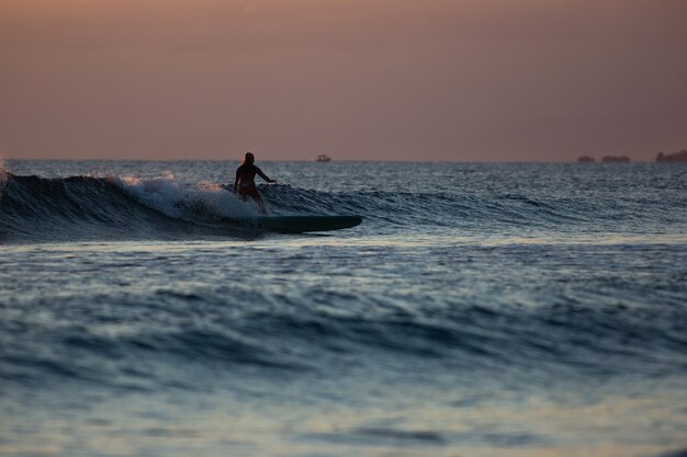 Surfer auf der Welle