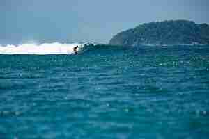 Kostenloses Foto surfer auf einer blauen welle.