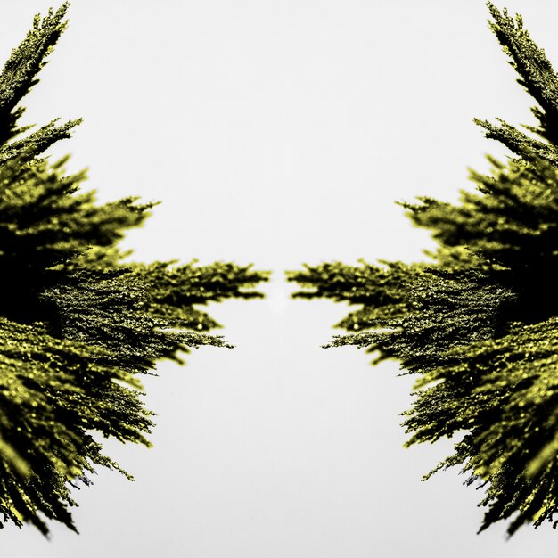 Symmetrie des grünen metallischen Rasierens auf weißem Hintergrund