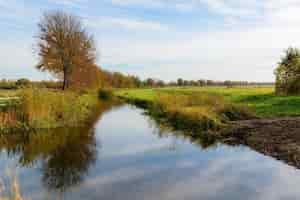 Kostenloses Foto szenische ansicht der bäume, die auf einem fluss unter einem bewölkten himmel reflektiert werden