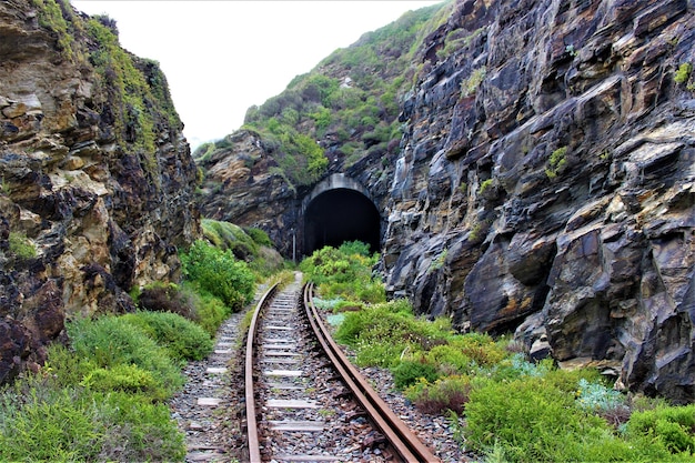 Kostenloses Foto szenische ansicht einer eisenbahn, um durch die grün bedeckten felsen zu tunneln