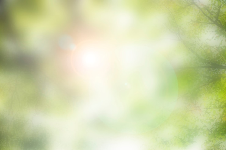 Kostenlose Foto szenische sonne lens flare, die durch bäume naturfotografie scheint