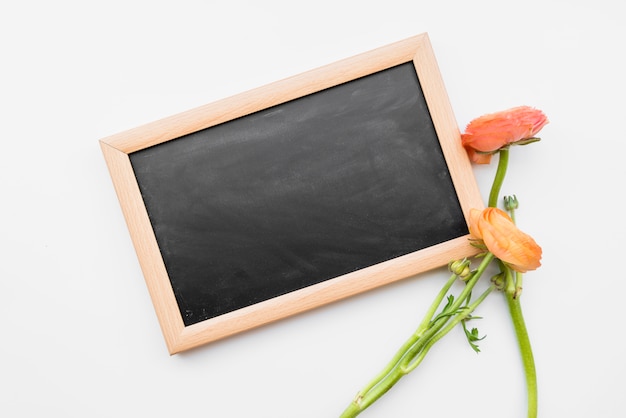 Tafel und rote Blumen auf weißem Hintergrund