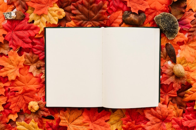 Tagebuch auf Herbstblättern
