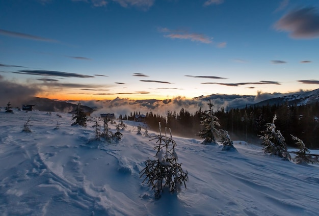 Tagesanbruch winterberglandschaft mit wolken und tannen am hang (karpaten).