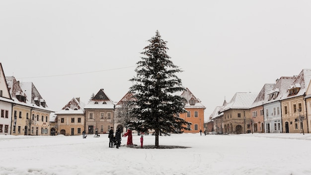 Kostenloses Foto tannenbaum in der stadt