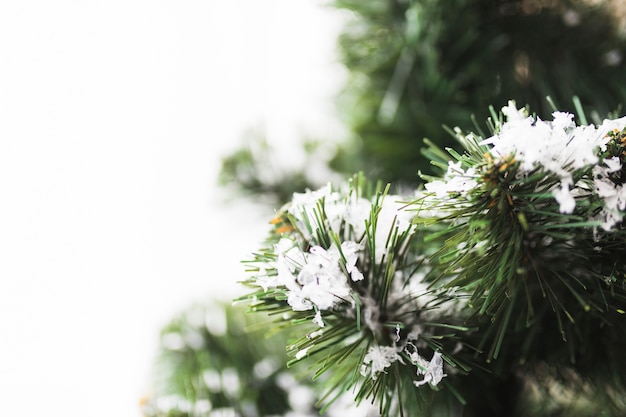 Kostenloses Foto tannenbaum mit schneeflocken auf zweigen