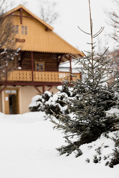 Tannenbaum und Haus im Winter