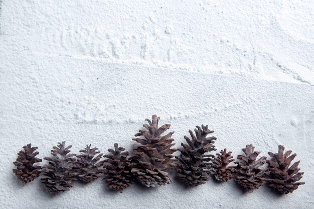 Tannenzapfen auf dem Schnee. Weihnachtsdekoration