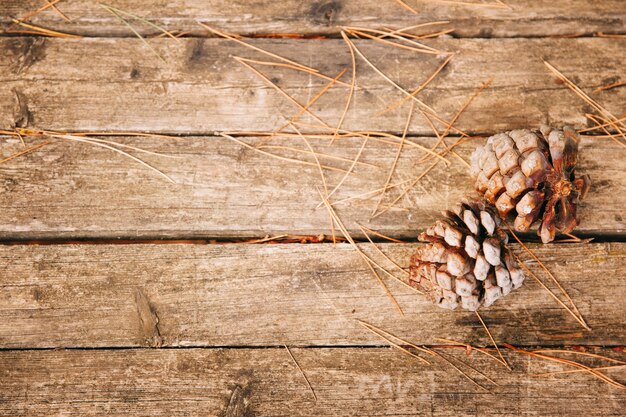 Tannenzapfen auf Holzstruktur