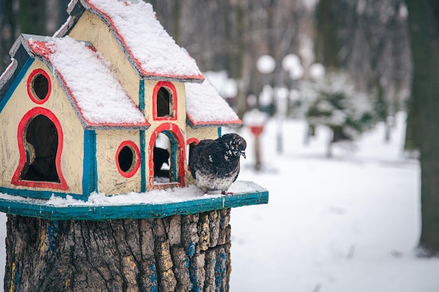 Taube in der Nähe eines hellen Holzhäuschens im Winterwald