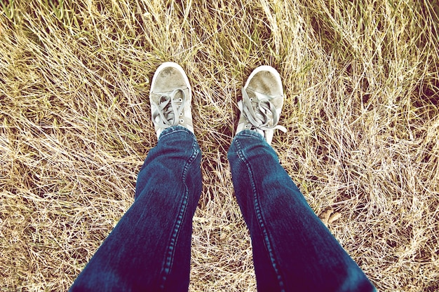 Kostenloses Foto teenage beine auf gras