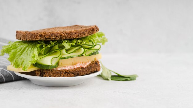 Teller mit leckerem Sandwich