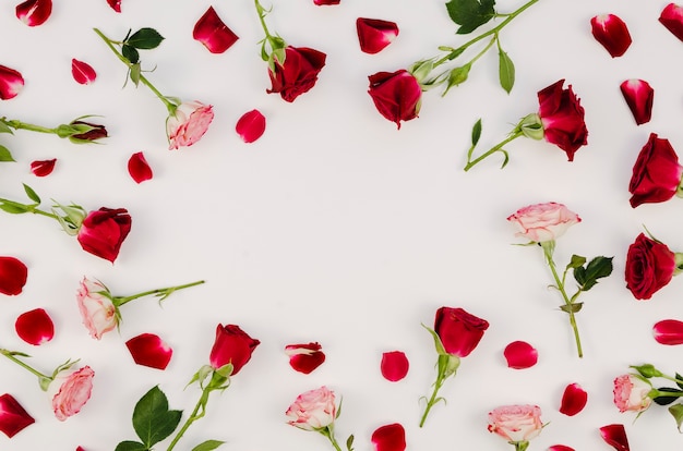 Textfreiraum, umgeben von romantischen Rosen