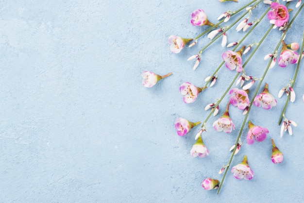 Textfreiraum Zweige der Blumen auf dem Tisch