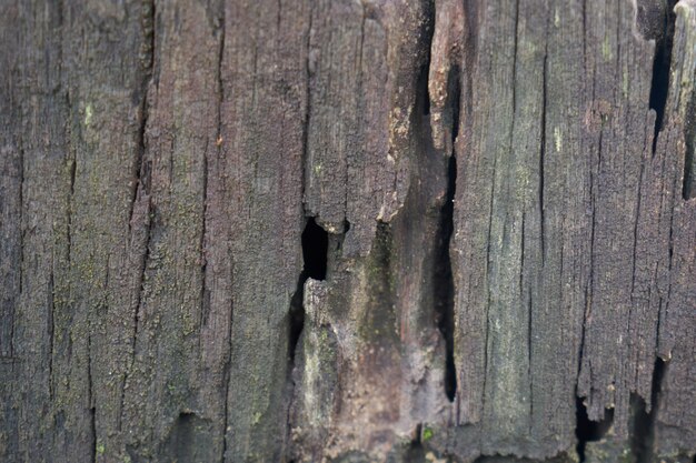 Textur Nahaufnahme Holzbrett Hintergrund